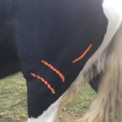 Lymfe Taping als ondersteuning
